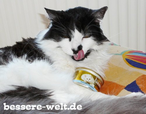 Lecker Essen für die Katz